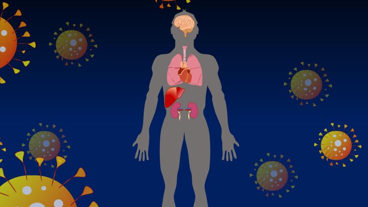 Schematic drawing showing body with internal organs, surrounded by novel coronavirus particles.