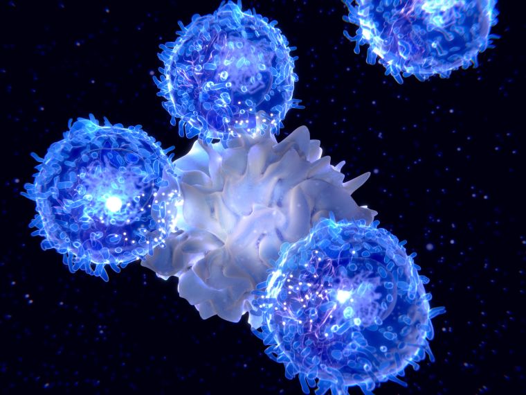 Visual representation of a dendritic cell presenting an antigen to T-lymphocytes.
