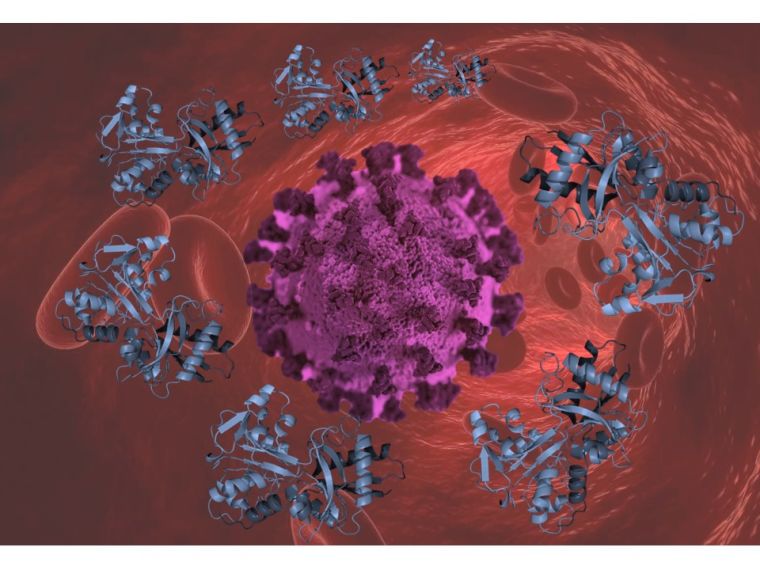 Novel coronavirus schematic drawing surrounded by hemoglobin molecules