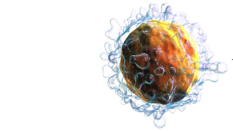 3D rendering of T cell